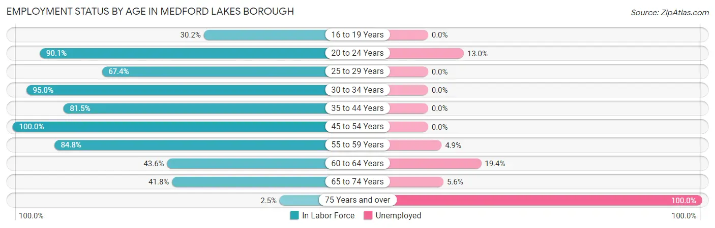 Employment Status by Age in Medford Lakes borough