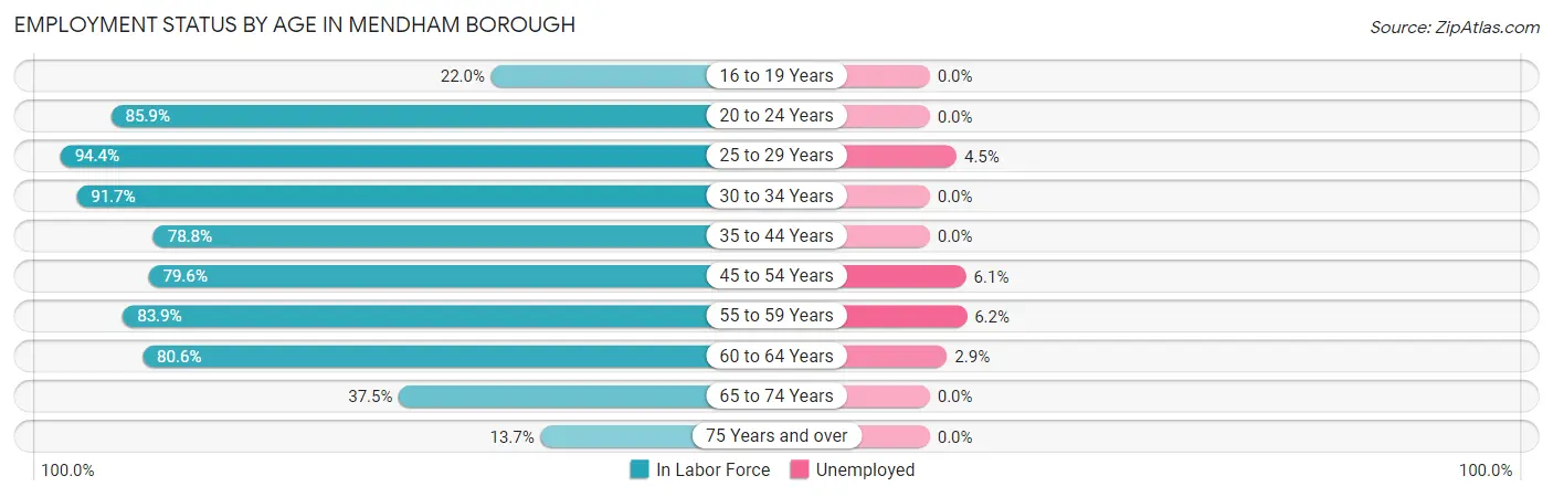 Employment Status by Age in Mendham borough