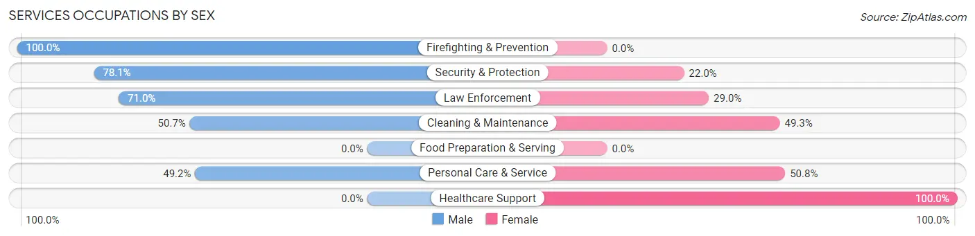 Services Occupations by Sex in Mendham borough
