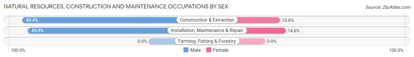 Natural Resources, Construction and Maintenance Occupations by Sex in Mercerville