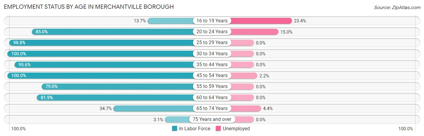 Employment Status by Age in Merchantville borough