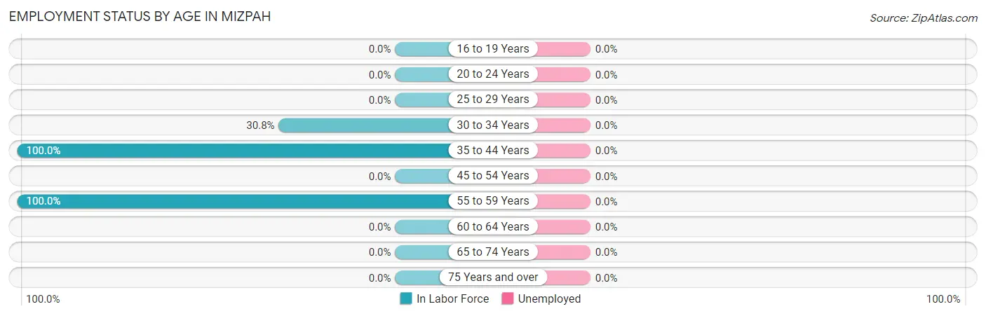 Employment Status by Age in Mizpah