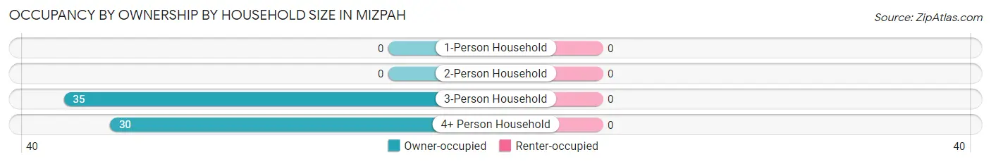 Occupancy by Ownership by Household Size in Mizpah