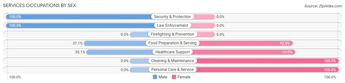 Services Occupations by Sex in Morganville