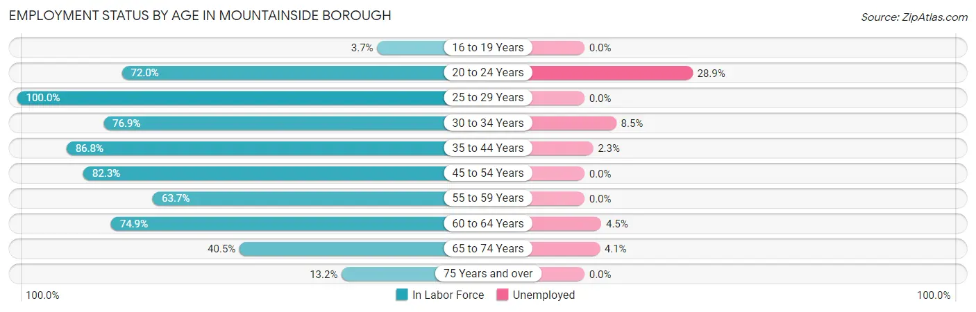 Employment Status by Age in Mountainside borough