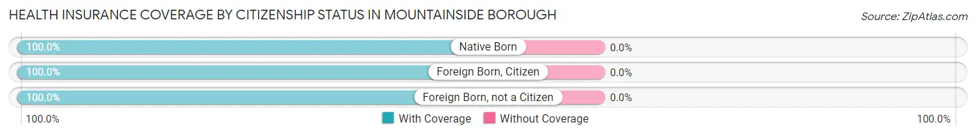 Health Insurance Coverage by Citizenship Status in Mountainside borough