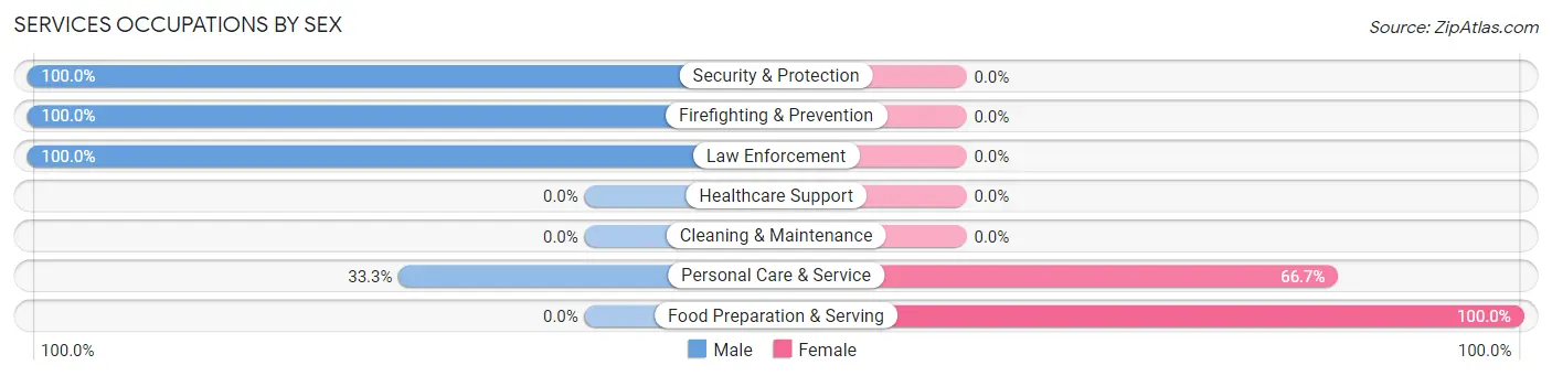 Services Occupations by Sex in Mountainside borough