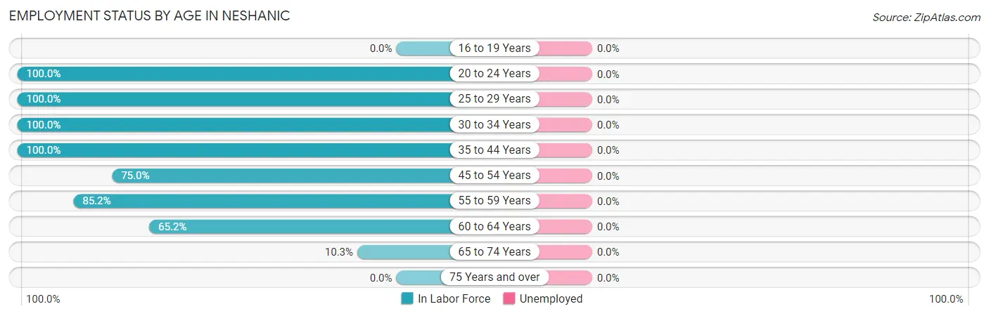 Employment Status by Age in Neshanic