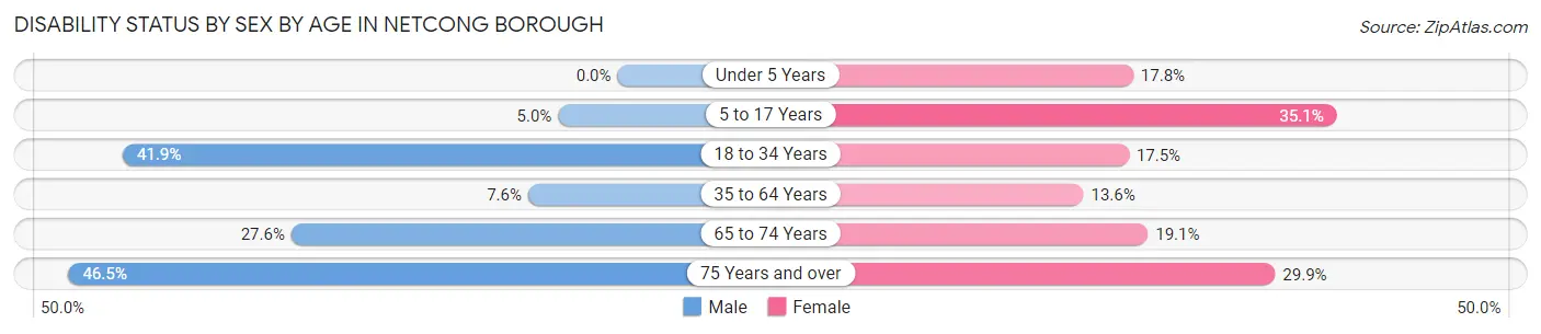 Disability Status by Sex by Age in Netcong borough
