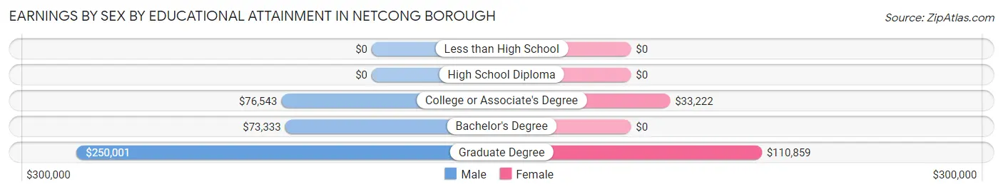 Earnings by Sex by Educational Attainment in Netcong borough