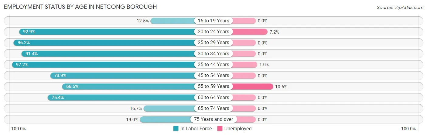 Employment Status by Age in Netcong borough