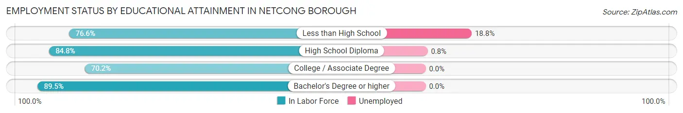 Employment Status by Educational Attainment in Netcong borough