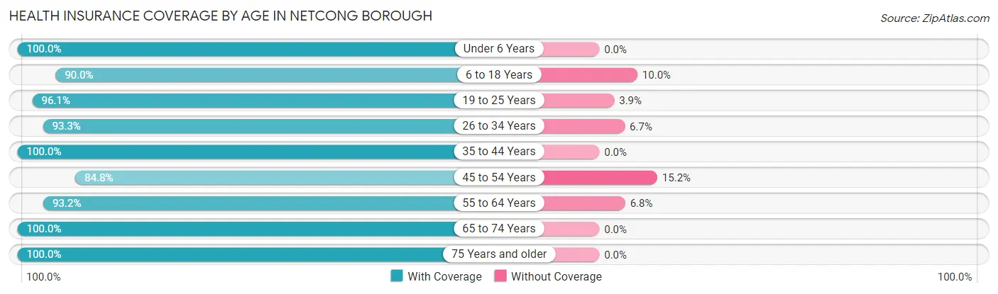 Health Insurance Coverage by Age in Netcong borough