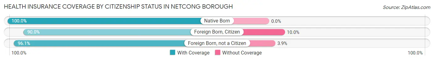 Health Insurance Coverage by Citizenship Status in Netcong borough