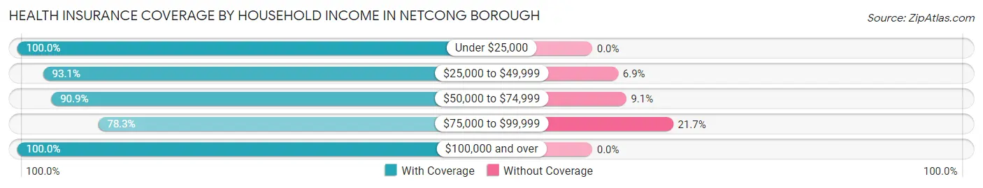 Health Insurance Coverage by Household Income in Netcong borough