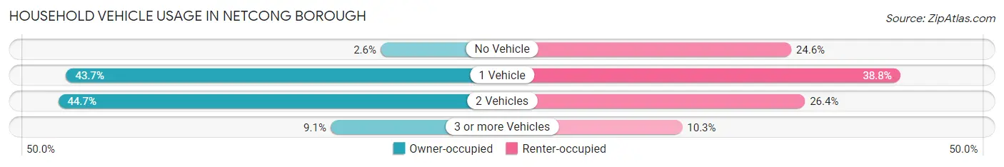 Household Vehicle Usage in Netcong borough