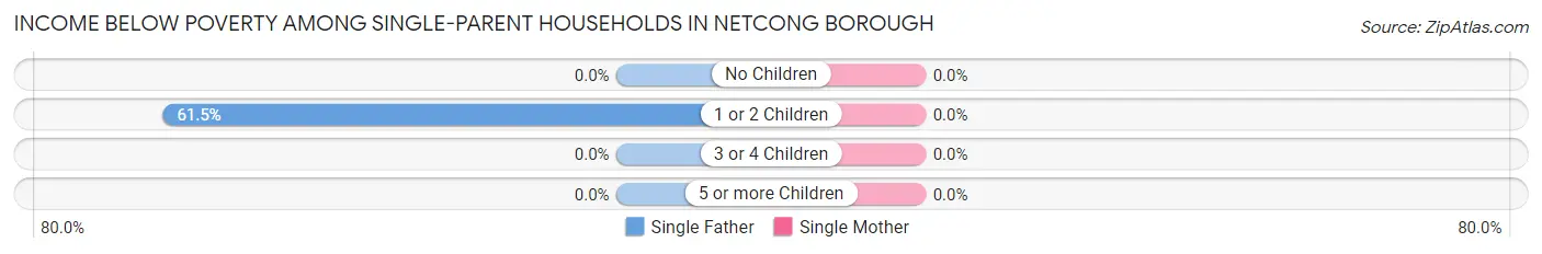 Income Below Poverty Among Single-Parent Households in Netcong borough