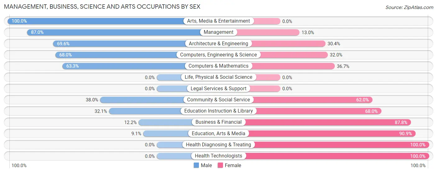 Management, Business, Science and Arts Occupations by Sex in Netcong borough