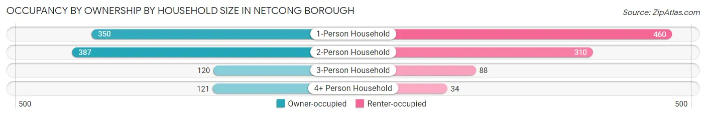 Occupancy by Ownership by Household Size in Netcong borough