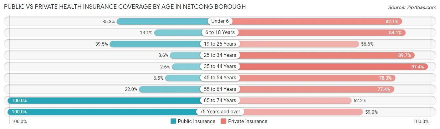 Public vs Private Health Insurance Coverage by Age in Netcong borough