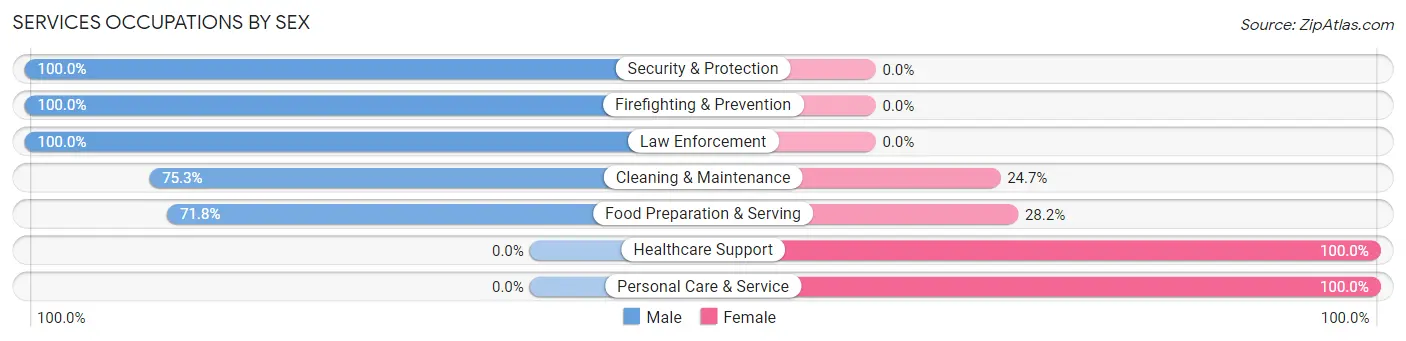 Services Occupations by Sex in Netcong borough