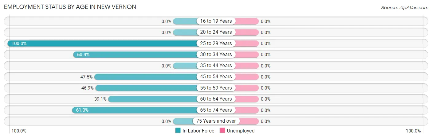 Employment Status by Age in New Vernon
