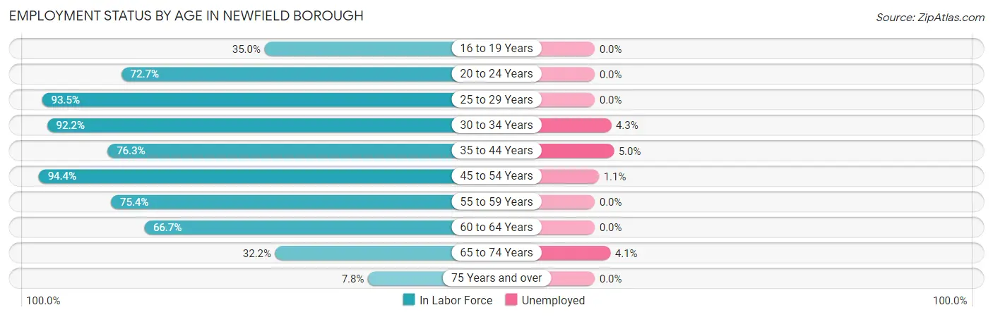 Employment Status by Age in Newfield borough
