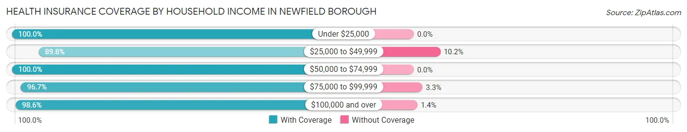 Health Insurance Coverage by Household Income in Newfield borough