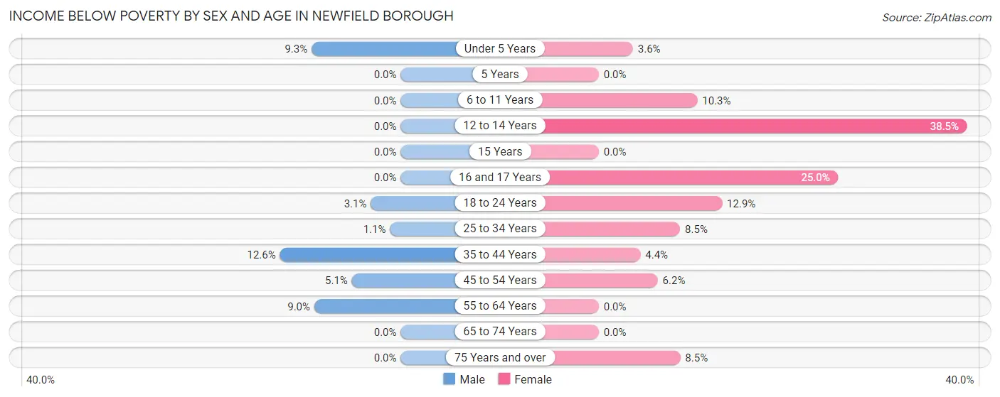 Income Below Poverty by Sex and Age in Newfield borough