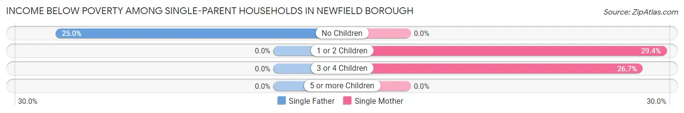 Income Below Poverty Among Single-Parent Households in Newfield borough