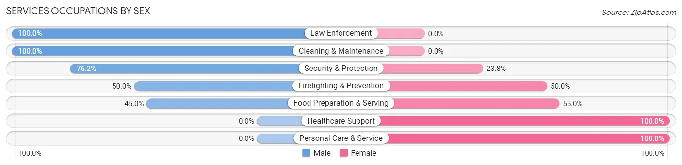 Services Occupations by Sex in Newfield borough
