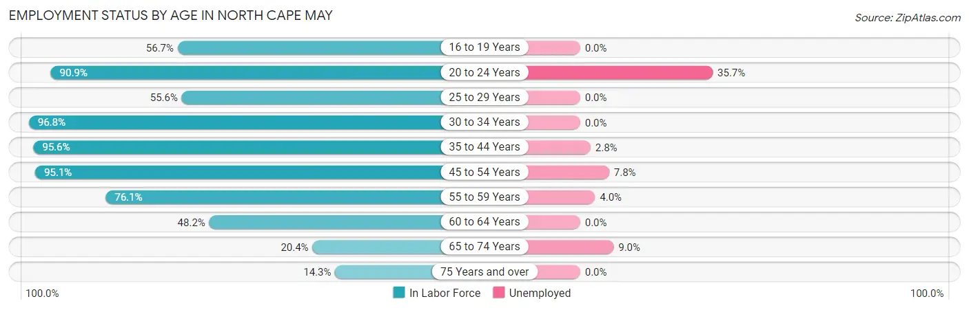 Employment Status by Age in North Cape May