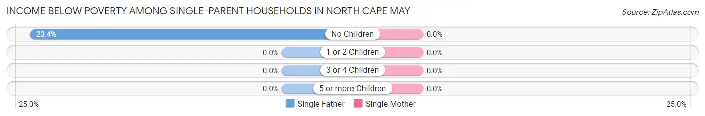 Income Below Poverty Among Single-Parent Households in North Cape May