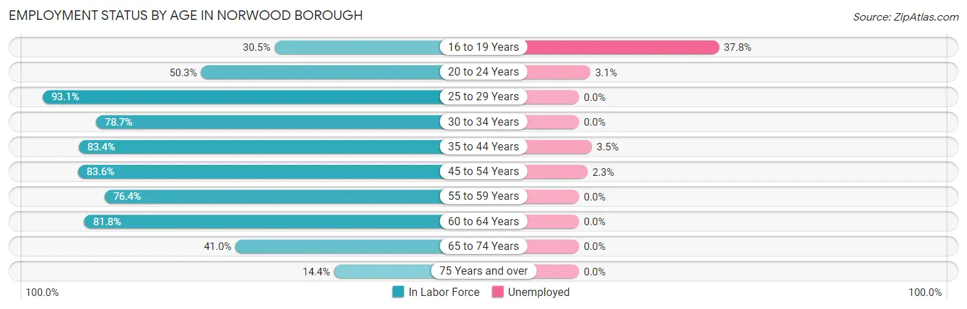 Employment Status by Age in Norwood borough