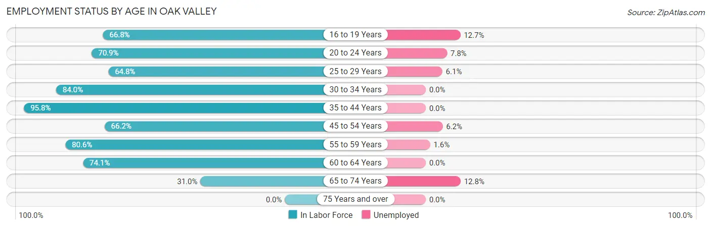 Employment Status by Age in Oak Valley
