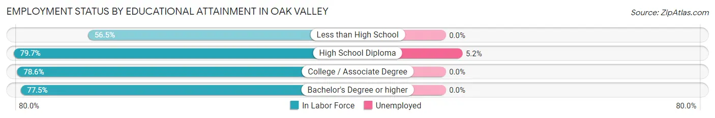 Employment Status by Educational Attainment in Oak Valley