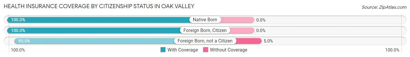 Health Insurance Coverage by Citizenship Status in Oak Valley