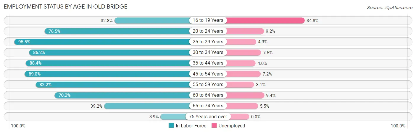 Employment Status by Age in Old Bridge