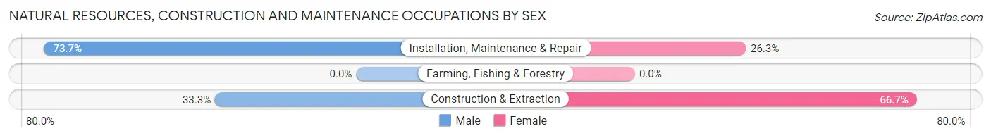 Natural Resources, Construction and Maintenance Occupations by Sex in Old Tappan borough