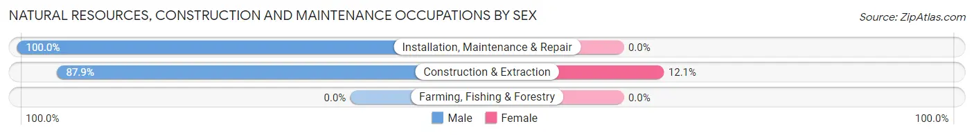 Natural Resources, Construction and Maintenance Occupations by Sex in Palisades Park borough