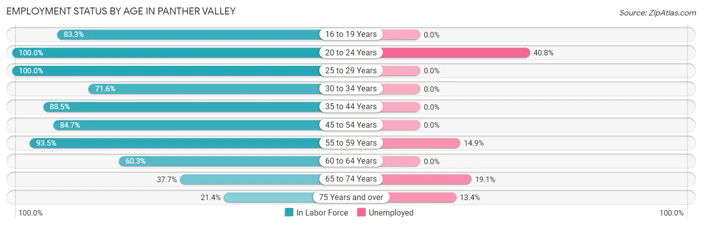 Employment Status by Age in Panther Valley