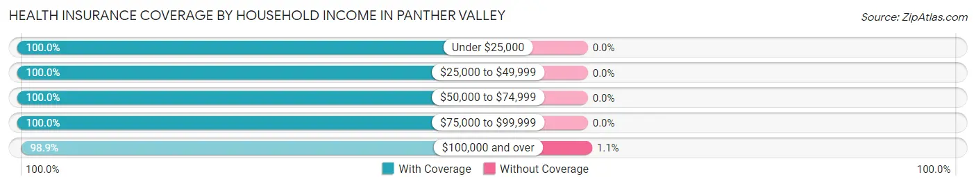 Health Insurance Coverage by Household Income in Panther Valley