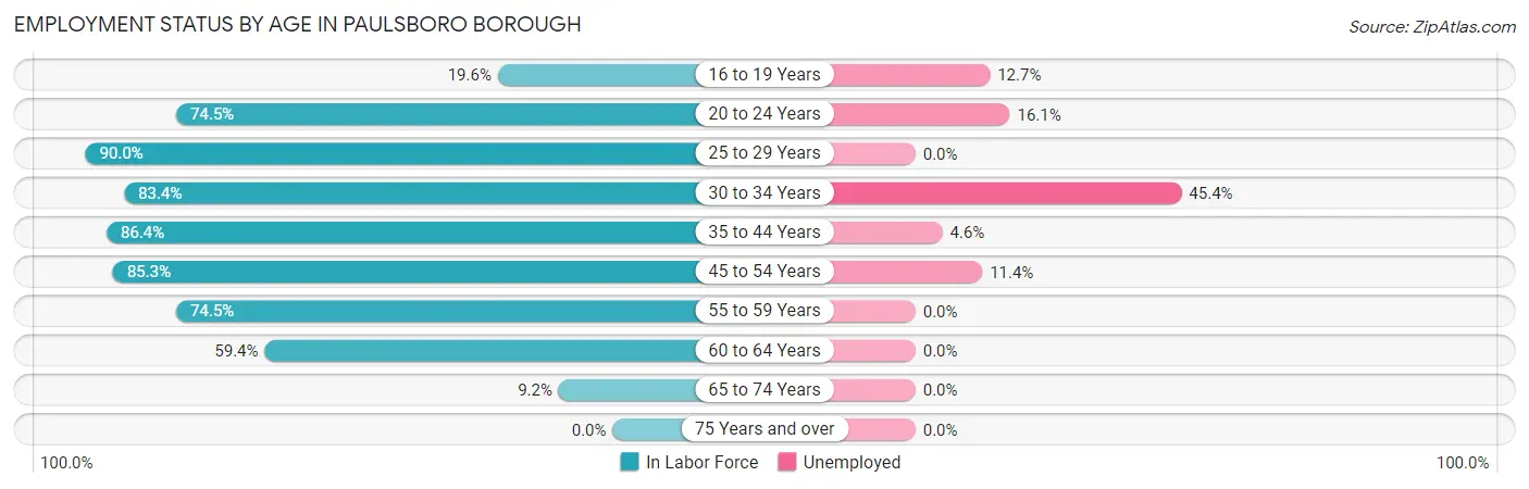 Employment Status by Age in Paulsboro borough