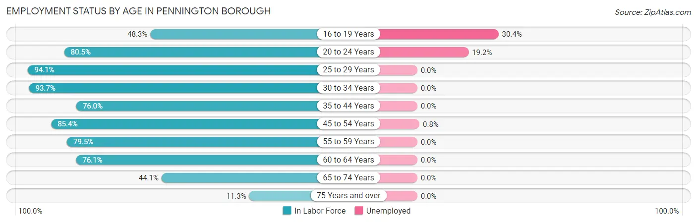 Employment Status by Age in Pennington borough