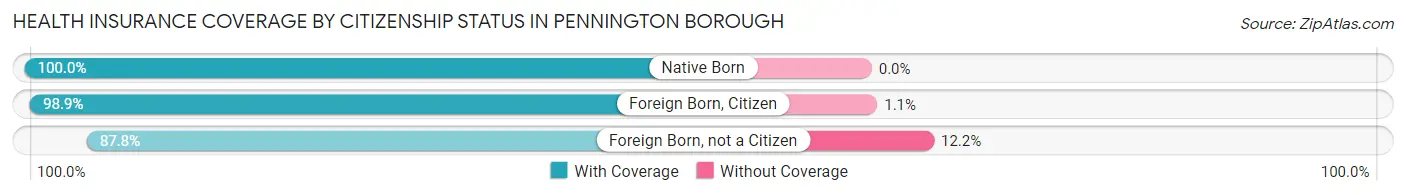 Health Insurance Coverage by Citizenship Status in Pennington borough