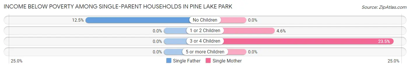 Income Below Poverty Among Single-Parent Households in Pine Lake Park