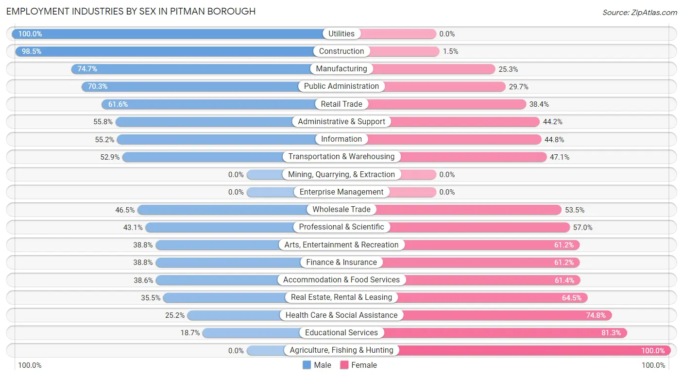 Employment Industries by Sex in Pitman borough