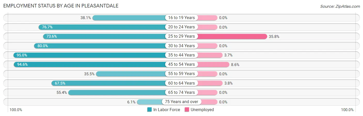 Employment Status by Age in Pleasantdale