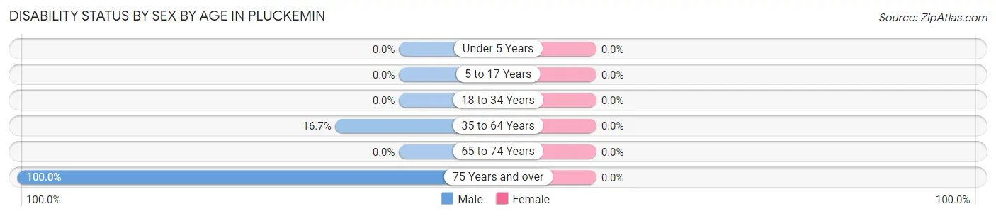 Disability Status by Sex by Age in Pluckemin