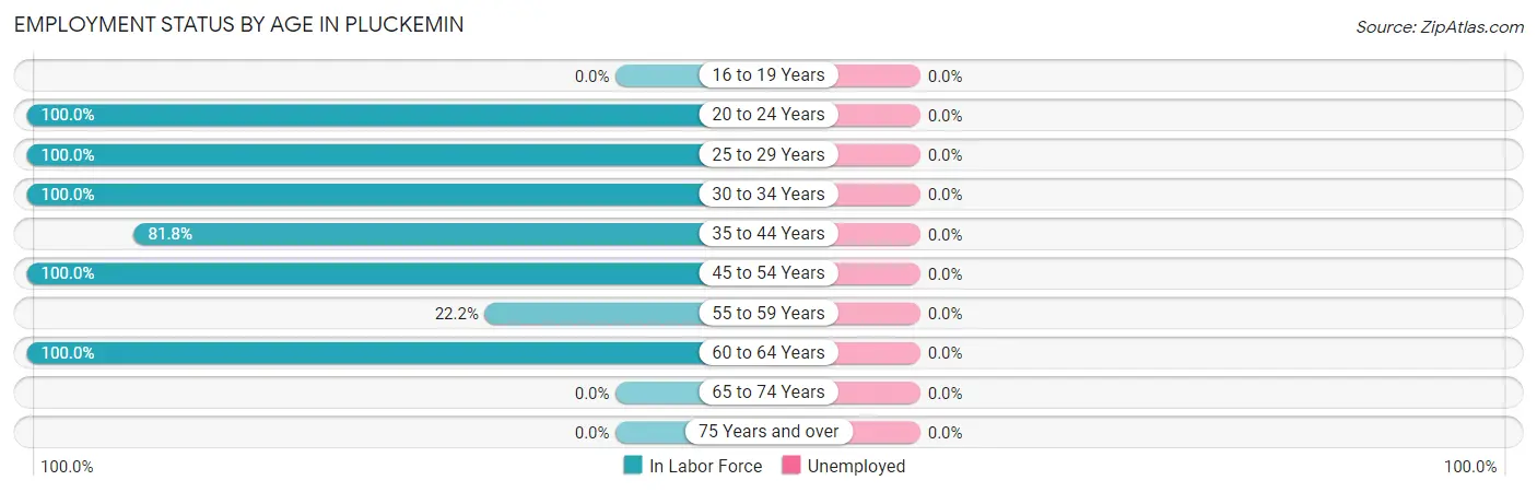 Employment Status by Age in Pluckemin